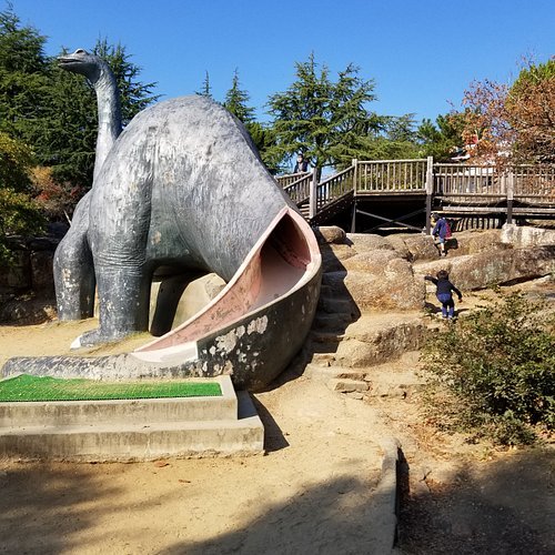 🏞️ 사이다이지 녹화 공원(사이다이지료쿠카코엔) 이미지 4